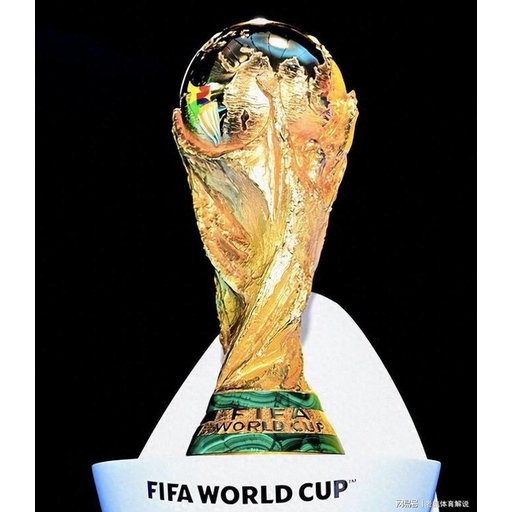 6t体育 标志